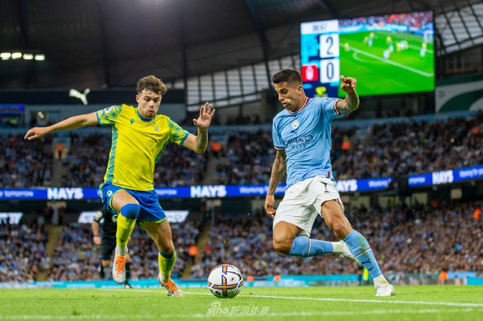 森的稳定发 森的稳定发